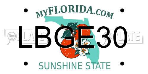LBGE30 Florida License Plate