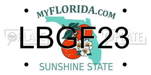 LBGF23 Florida License Plate