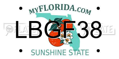 LBGF38 Florida License Plate