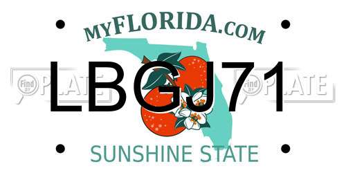 LBGJ71 Florida License Plate