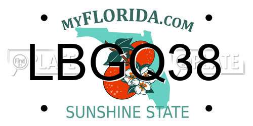 LBGQ38 Florida License Plate