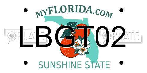 LBGT02 Florida License Plate