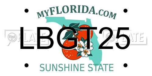 LBGT25 Florida License Plate