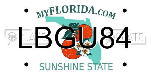 LBGU84 Florida License Plate