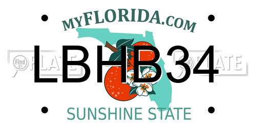 LBHB34 Florida License Plate