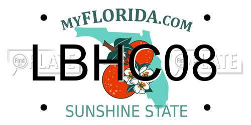 LBHC08 Florida License Plate