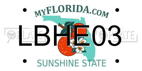 LBHE03 Florida License Plate