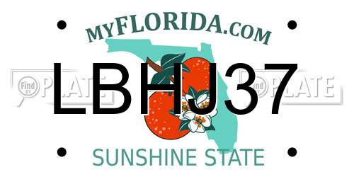 LBHJ37 Florida License Plate