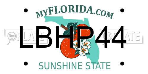 LBHP44 Florida License Plate