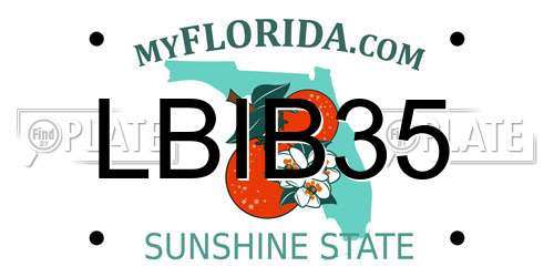 LBIB35 Florida License Plate