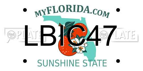 LBIC47 Florida License Plate