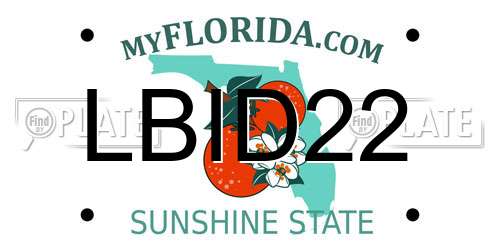 LBID22 Florida License Plate
