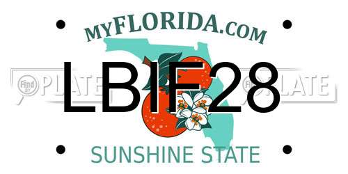 LBIF28 Florida License Plate