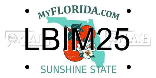 LBIM25 Florida License Plate
