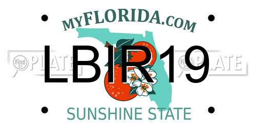 LBIR19 Florida License Plate