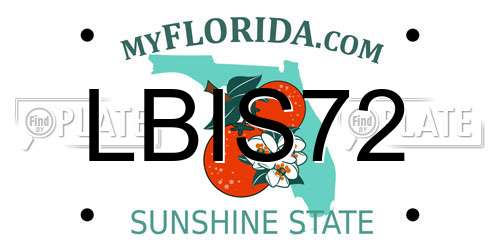 LBIS72 Florida License Plate