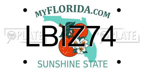 LBIZ74 Florida License Plate