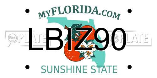 LBIZ90 Florida License Plate