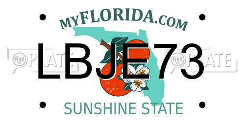 LBJE73 Florida License Plate