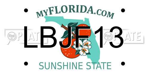 LBJF13 Florida License Plate
