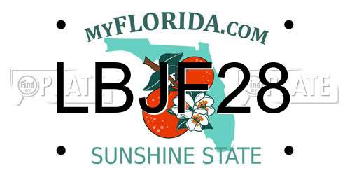 LBJF28 Florida License Plate