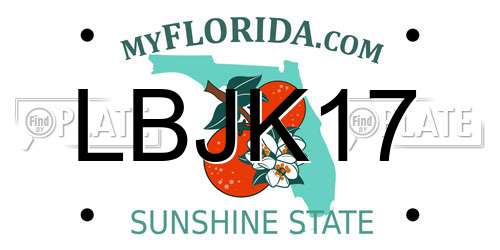 LBJK17 Florida License Plate