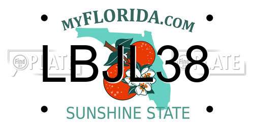 LBJL38 Florida License Plate