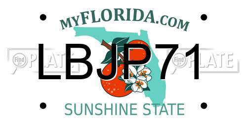 LBJP71 Florida License Plate