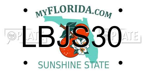 LBJS30 Florida License Plate