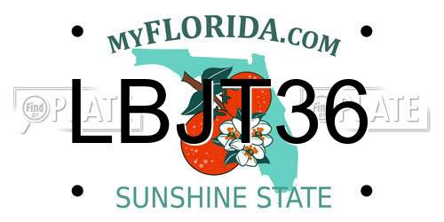 LBJT36 Florida License Plate