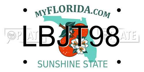 LBJT98 Florida License Plate