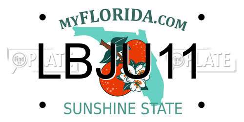 LBJU11 Florida License Plate