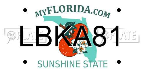 LBKA81 Florida License Plate