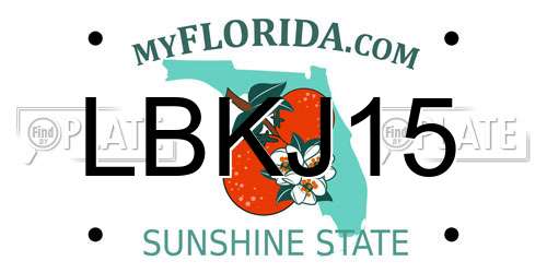 LBKJ15 Florida License Plate