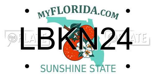 LBKN24 Florida License Plate
