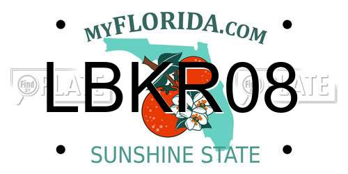 LBKR08 Florida License Plate