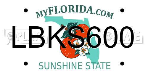 LBKS600 Florida License Plate
