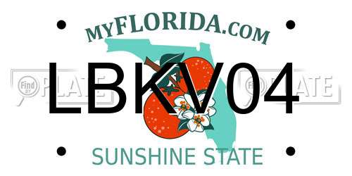 LBKV04 Florida License Plate