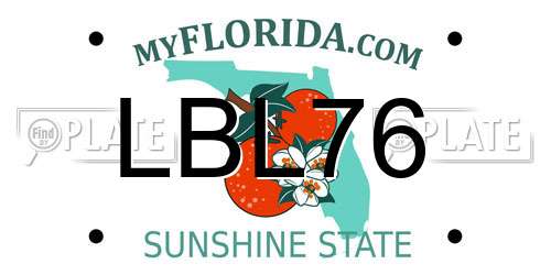 LBL76 Florida License Plate