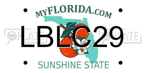 LBLC29 Florida License Plate
