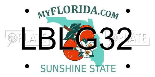 LBLG32 Florida License Plate