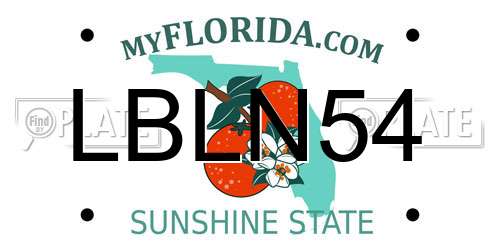 LBLN54 Florida License Plate