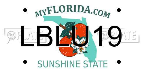 LBLU19 Florida License Plate