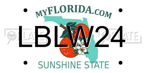 LBLW24 Florida License Plate