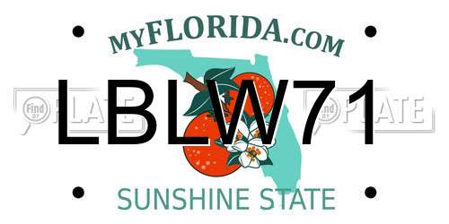 LBLW71 Florida License Plate