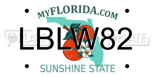 LBLW82 Florida License Plate