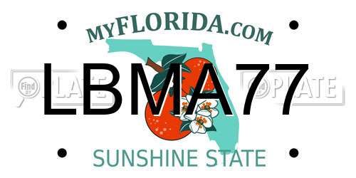 LBMA77 Florida License Plate