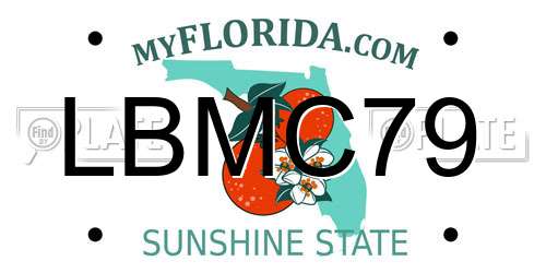 LBMC79 Florida License Plate
