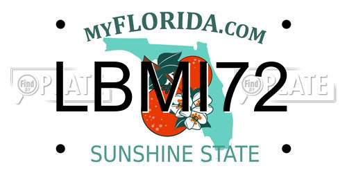 LBMI72 Florida License Plate