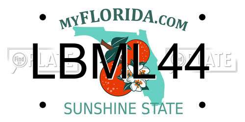 LBML44 Florida License Plate